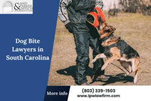 Dog Bite Lawyers in South Carolina